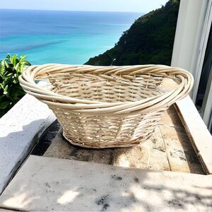 Oval Willow Basket Natural Color NWOT